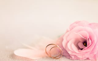 Картинка праздник, кольцо, розовые, eustoma, свадьба