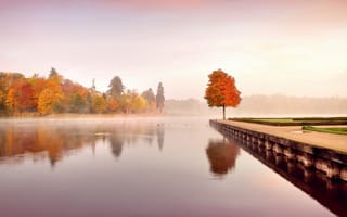 Картинка осень, утро, вода, желтые, листья, туман, пейзаж, природа, деревья, оранжевые