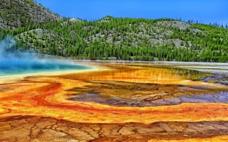 Обои Grand Prismatic Spring, горячий источник, Yellowstone National Park, Йеллоустон, деревья, Большой призматический источник, Wyoming, Вайоминг