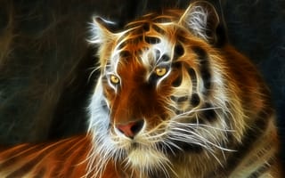 Картинка тигр, 3D, аэрография