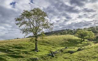 Картинка Природа, Облака, Великобритания, Камни, Yorkshire, Луга, Деревья