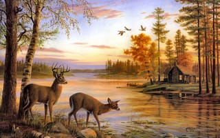Картинка birch, nature, Quiet Evening, deer, Mary Pettis, painting, river