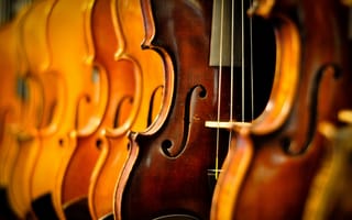 Картинка Violins, музыка, макро