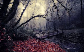 Картинка парк, мост, листья, осень, природа