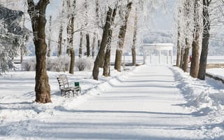 Картинка зима, парк, снег