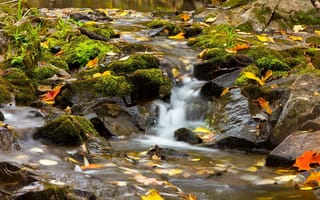 Картинка Amity Creek, Duluth, Миннесота, Дулут, Minnesota, камни, речка, осень, ручей, листья, Лестер Парк, Lester Park