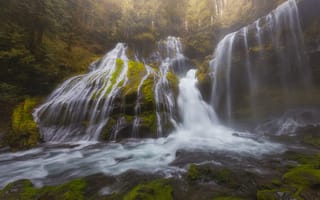 Картинка лес, Panther Creek Falls, Скамейния, Washington, водопад, ущелье реки Колумбия, Columbia River Gorge, штат Вашингтон, Gifford Pinchot National Forest, Skamania County, каскад