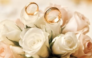 Картинка обручальные кольца, бутоны, розы, белые