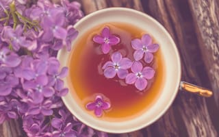 Картинка настроения, фиолетовый, цветочки, чашка, чай, tea, цветы, кружка, flowers