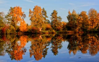 Картинка Laupheim, осень, природа, Германия, деревья, Germany