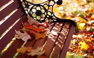 Обои скамейка, макро, желтые, лавка, скамья, осень, лавочка, листья, парк, размытость, оранжевые
