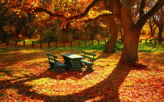 Картинка Осень, стол, деревья, листья, забор, скамейки