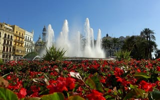 Картинка Valencia, фонтан, Spain, бегонии, цветы, Испания, клумба, Валенсия