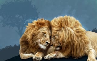 Картинка львы, Photoshop, братская любовь