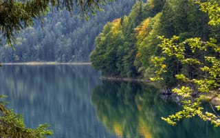 Картинка Lake Eibsee, Bavaria, лес, водная гладь, отражение, озеро Айбзее, Бавария, осень, Germany, Германия