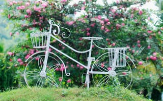 Обои настроения, цветочки, листья, цветы, белый, велосипед, колесо, корзинка