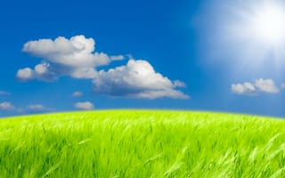 Картинка nature, небо, зеленое поле, sky, солнце, grass, clouds, landscape, трава, облака, пейзаж, природа, green field, sunlight