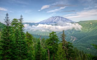 Картинка USA, forests, Washington, nature, Mountains