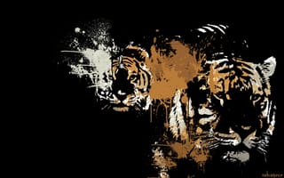 Картинка животные, тигры, арт, хищники, черный фон, окрас