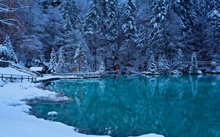 Картинка зима, Bernese Oberland, Швейцария, Kander Valley, долина реки Кандер, Кандерская долина, озеро, лес, Switzerland