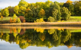 Обои лес, озеро, осень, отражение