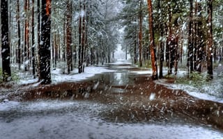 Обои природа, пейзаж, снег, деревья, зима