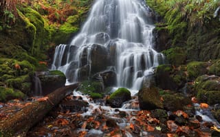 Обои Fairy Falls, каскад, камни, Oregon, осень, река Колумбия, водопад, Columbia River Gorge, Орегон, листья, Wahkeena Falls, мох