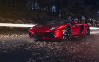Картинка Lamborghini Aventador, hq, supercar, авто, ламборгини, Roadster, LP-700-4