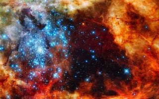 Обои nebula, звезды, туманность, бесконечность