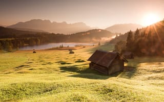 Картинка поле, лес, солнце, небо, лучи, свет, трава, пейзаж