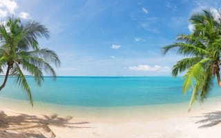 Картинка beautiful, nature, песок, coconut palm trees, природа, небо, sky, море, panorama, landscape, тропический пляж, кокосовыми пальмами, clouds, tropical Beach, пейзаж, sand, красивая, sea, панорама, облака