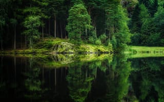 Картинка лес, озеро, природа, деревья, отражение