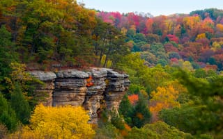 Картинка осень, скала, лес, обрыв, багрянец, пейзаж, плато
