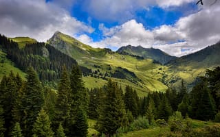 Картинка лес, облака, Mieussy, долина, Франция, деревья, горы, луг