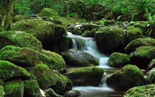 Картинка зелень, водопад, ручей, камни