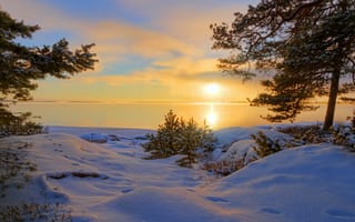 Картинка зима, снег, деревья, следы, вечер, озеро