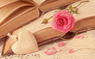 Картинка books, книги, цветок, flower, i love you, love, pink, роза, лепестки, сердце, romantic, heart, petals, rose, любовь