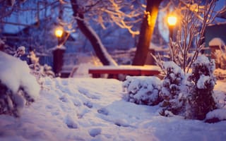 Картинка зима, деревья, фонари, снег, природа, кусты, лавка, освещение, следы, двор