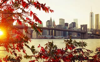 Картинка осень, город, New York, Brooklyn, листья, мост