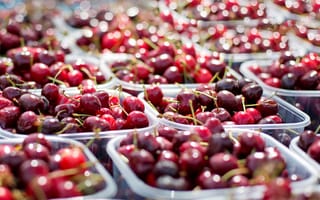 Картинка свет, вишня, еда, блеск, сияние, урожай, ягоды, размытие