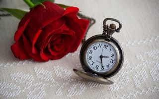 Картинка цветок, dial, rose, роза, циферблат, clock, time, часы, flower, время