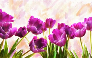 Картинка фиолетовый, цветы, графика, картина, рисунок, обработка, светлый