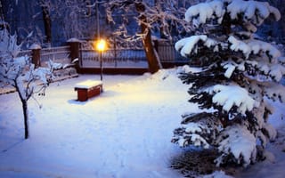 Картинка зима, елка, фонарь, деревья, снег, ёлка, двор, освещение, ель, природа