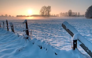 Картинка снег, закат, солнце, ограждение, поле, вечер, деревья, небо, Германия, забор, зима