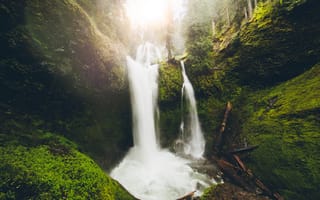 Картинка лес, деревья, Falls Creek Falls, Washington, водопад