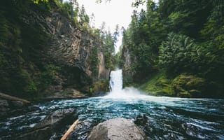 Картинка Oregon, деревья, природа, водопад, лес, Toketee Falls, камни