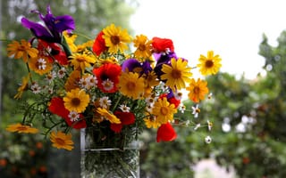 Картинка лето, цветы, ирис, ваза, маки, ромашки, букет
