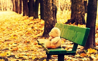 Картинка настроения, листья, мишка, осень, bear, листочки, leaves, скамейка, дерево, лавочка, лавка, autumn, toy, trees, деревья, скамья, игрушка, желтые