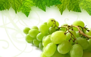 Картинка лист, гроздь, виноград