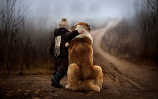 Картинка мальчик, природа, дорога, ребенок, лес, собака, туман, осень